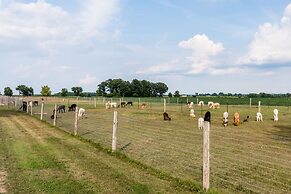 Sabamba Alpaca Ranch