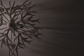 Hide and Seek Boutique Hometel