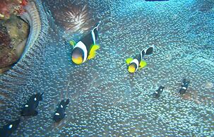 Le Recif Guest House