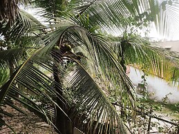 Pousada Tropical Brasil