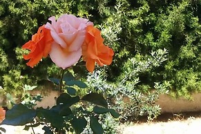 Royal Sunset Studios