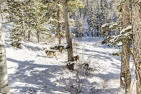 Adams Vacation At Windcliff 2 Bedroom Home by RedAwning