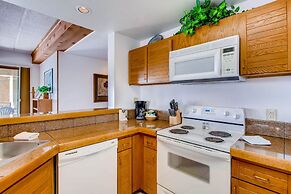 2BR View of Mt. Crested Butte and Lift - No Cleaning Fee! by RedAwning