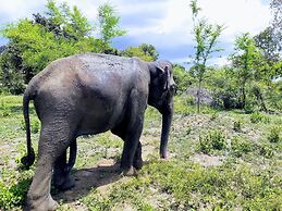 Golden Pearl Safari Villa