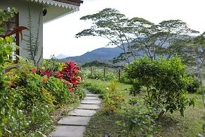 Green Cottage Chamarel
