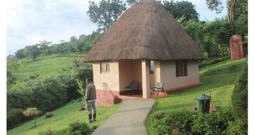 Chimpanzee Forest Guest House