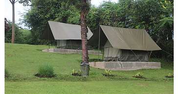 Chimpanzee Forest Guest House