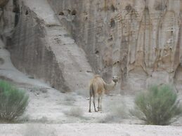 Bedouin House Camp