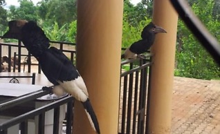 Lake Victoria View Lodge