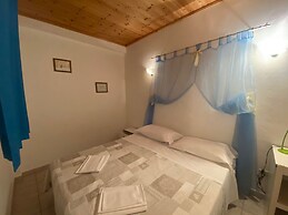 B&B Alex