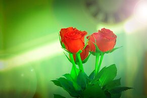 A&S Ferienwohnungen Roonstraße 7