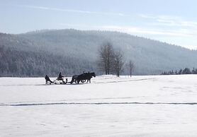 Gasthof-Pension Kraus