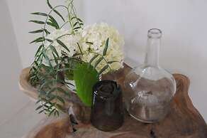 Campo de Santa Clara 98