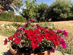 Agriturismo Gli Oleandri