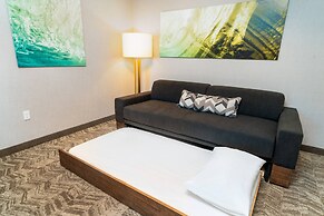 SpringHill Suites by Marriott Newark Fremont