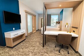 SpringHill Suites by Marriott Newark Fremont