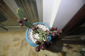 Suite del Vico Family