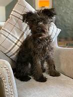 The Mill House Hotel