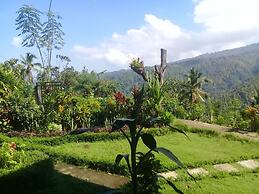 Aris Homestay and Warung Made