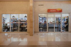 Rex Ollie 231 TR Service Suites