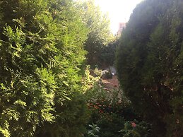 Montenegro central point