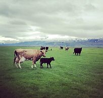 Smáratún Farm Eco Lodges