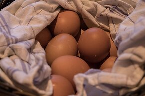 Gasthof Kampenwand Bernau