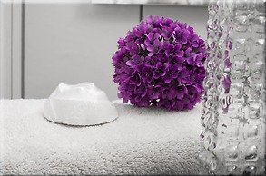 Ferienwohnungen Cella