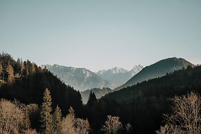 Feuriger Tatzlwurm