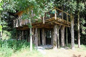 Cabane dans les Arbres - Tree House