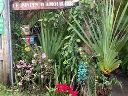 Pinpin d'Amour