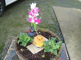 The Farmhouse Lochmeyler