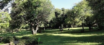 Ol-Moran Tented Camp