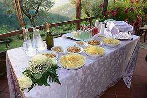 Agriturismo Colle Tocci