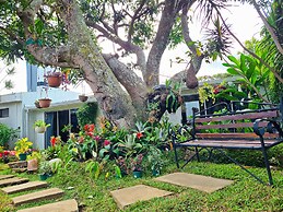 Casa Jardin Del Mango