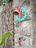 Casa Jungla Hostel