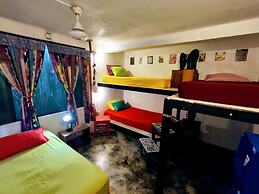 Casa Jungla Hostel