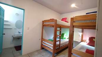 Casa Jungla Hostel
