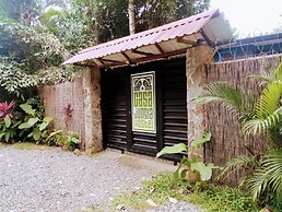 Casa Jungla Hostel