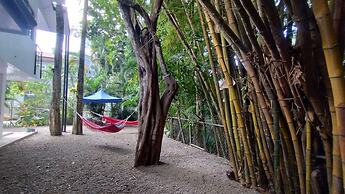 Casa Jungla Hostel