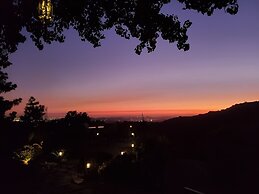 The Patrician Hollywood Universal