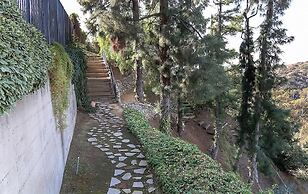 The Patrician Hollywood Universal