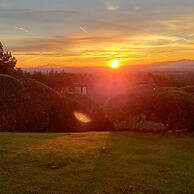 The Patrician Hollywood Universal