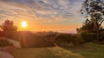 The Patrician Hollywood Universal