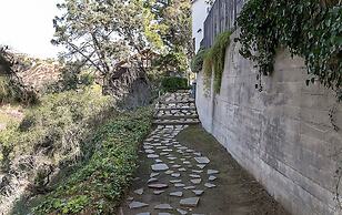 The Patrician Hollywood Universal