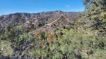 The Patrician Hollywood Universal