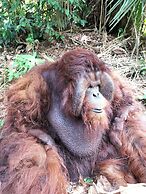 Sojourn Beds & Cafe - Hostel