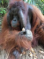 Sojourn Beds & Cafe - Hostel