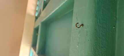 Sojourn Beds & Cafe - Hostel