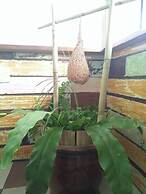 Sojourn Beds & Cafe - Hostel